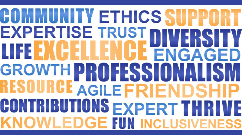 Professional Environment WordCloud